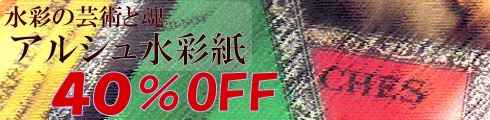���륷���̻�֥��å���������OFF